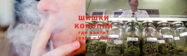 шишки Абаза