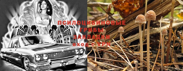 шишки Абаза