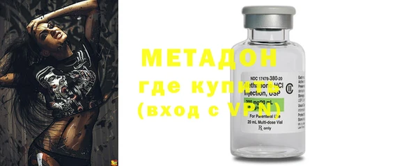шишки Абаза