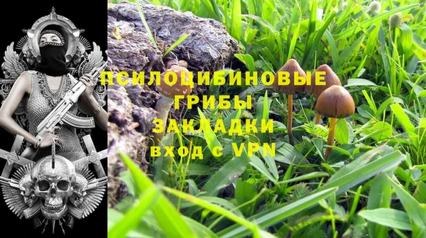 ешки Абдулино