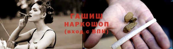 шишки Абаза
