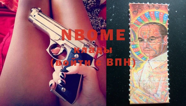 шишки Абаза