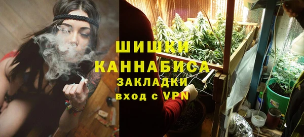 шишки Абаза