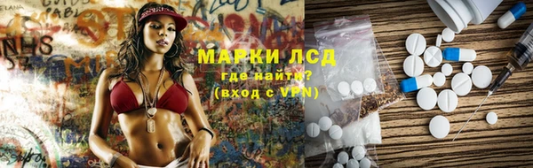 шишки Абаза