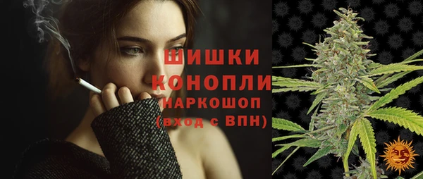 шишки Абаза